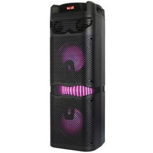 RM838 Party Speaker